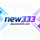 playnew333.com favicon